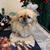 Helen R. Robare's profile image