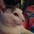 Lisa Owens Bergman's profile image