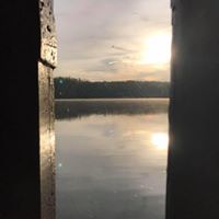 Carol Reynolds's profile image
