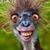 Bonnie Michelle Williams's profile image