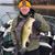 Jim Takacs's profile image