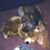 Lyn Vandersall's profile image
