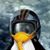 Paco Nathan's profile image