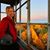 Amy Lidell's profile image