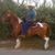 Dwight Criner's profile image
