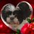Leslie McCarty's profile image