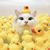 Nick Runden's profile image