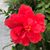 Michelle Martin's profile image
