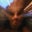 Bugra Kilincer's profile image