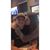 Emily Shay's profile image
