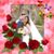 Paula Dee's profile image