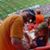 Brian Heald's profile image