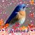 Brenda F. Guillot's profile image