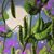 Angeli McMillan's profile image
