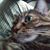 Terry Nuccio's profile image