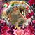 Debbie Miller's profile image