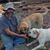 Dana Gann's profile image