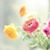 Xiaoli Jiang's profile image