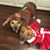 Elaine Petrilli Johnsen's profile image