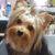 Christine Lavoie-Harring's profile image