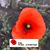 Chrisanna Weech Johnson's profile image