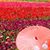 Keely Vlasak's profile image