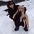 Peggy Zlotnick Siracusa's profile image
