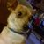 Joe Alcantar's profile image