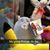 Anna Johnston's profile image
