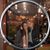 Jana Reney Lovett's profile image
