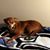 Brenda Byrd's profile image