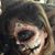 Gloria Corrales Olivas's profile image