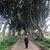 Aida Lorena's profile image