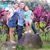 Lucia Barrantes's profile image