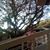 Loly Jimenez Fernandez's profile image