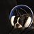 Lani Haas Keller's profile image