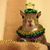 Andrea Stepnosky's profile image