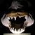 Rodrigo Beheregaray's profile image