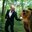 Paul Brenner's profile image