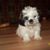 Donna Holtz's profile image