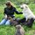 Jackie Jones Pick's profile image