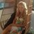 Renée Paradise's profile image