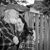 Juanita Swartwood's profile image