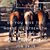 Teri Barker-Fox's profile image