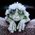 Jill Stewart's profile image