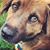 Dean Kuhnlein's profile image