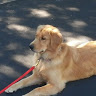 john h.'s profile image