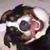 Tim Dibble's profile image