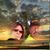 Mary Holbrook Cramer's profile image