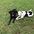 Dave LeFevre's profile image